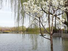 -古塔公园