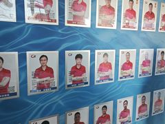 -奥林匹克体育中心游泳跳水中心