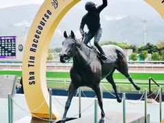 -香港皇家太平洋酒店