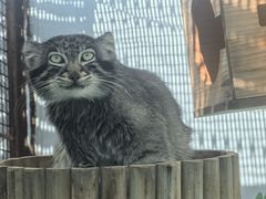 -青藏高原野生动物园
