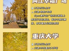 -埠口精酿夜景餐酒吧· BREWPORT BISTRO(长嘉汇重庆之眼店)