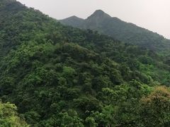 -南丹山森林王国