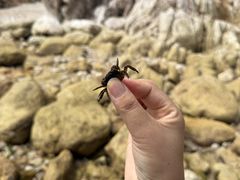 -长岛南北长山旅游景区