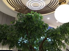 大堂-CoCo都可(中联广场店)
