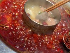 -大龙燚火锅(南山大道店)