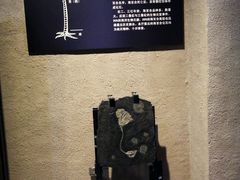 android_upload_pic-中华赏石园