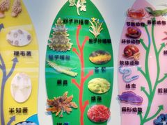 -金钉子远古世界景区