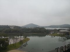 -佘山世茂艾美·御珍轩中餐厅