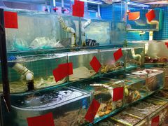 -40号厦门海鲜大排档(中山路店)