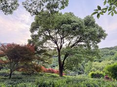 -北仑森林植物园