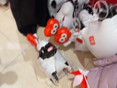 -西贝(六里桥旗舰店)