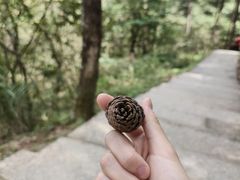 -明月山风景名胜区