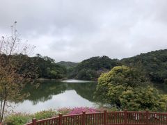 -广州市石门国家森林公园