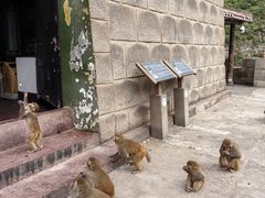 -白帝城·瞿塘峡景区