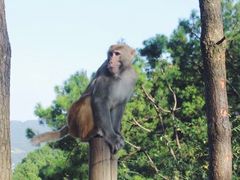 -重庆雨台山风景区