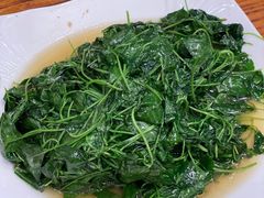 -小春农家乐