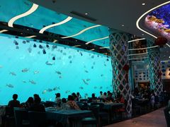-瑞德姆美人鱼海底演艺主题餐厅(亚龙湾店)
