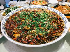 来凤鱼-新概念来凤鱼(璧山店)