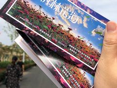 门票-枫林花海