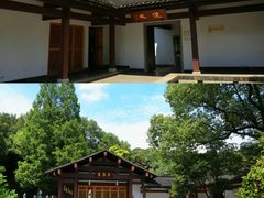 -杭州植物园