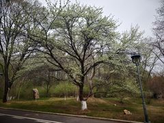 -沈阳植物园