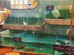 -鱼你相聚·河鲜馆(袁家岭店)