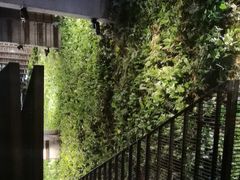 -外婆家(杭州马塍店·杭帮菜名店)