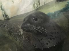 -厦门海底世界
