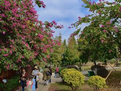 -芒洲湿地公园