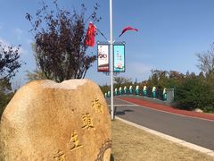 -上海长兴岛郊野公园