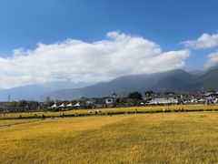 -喜林苑·稻田餐厅(品相府店)