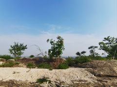 -白水寺森林公园