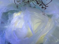 -不二心·鲜肉大包·海胆小笼汤包(二七广场店)