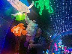 -重庆海昌加勒比海水世界