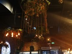 -同仁四季椰子鸡(海岸城天利店)