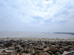 -上海吴淞炮台湾国家湿地公园