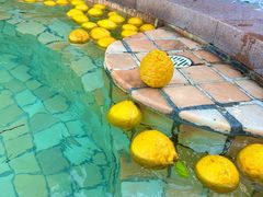 -天目湖涵田半山温泉