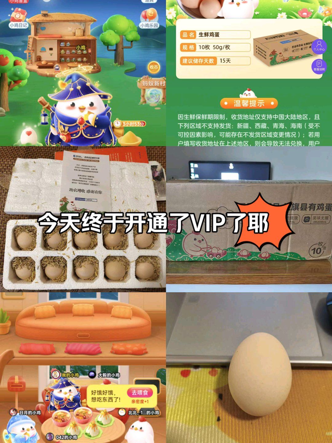 支付宝小鸡