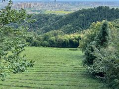 -敬亭山风景名胜区