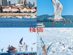-龍歌自助小火锅(市南金茂湾店)