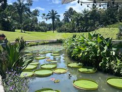 -植物园哈利亚餐厅