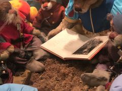 -济州岛泰迪熊博物馆