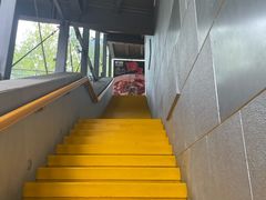 -No.DD戳子烧烤·江湖菜(北京总店)