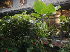 -大妙火锅·非物质文化遗产(东湖公园店)