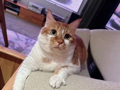 -上海浦南农副产品批发市场