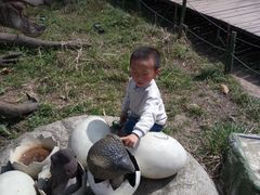 -西安秦岭野生动物园