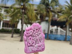 -三亚西岛海洋文化旅游区