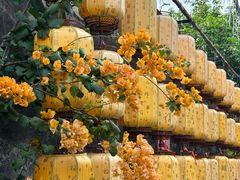 -三溪村