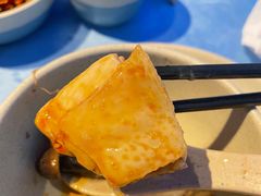 -千岛蚝高压锅生蚝·人参火锅(白云万达店)