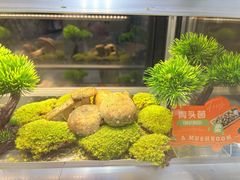 -一朵菌·野生菌探索家火锅(南亚店)